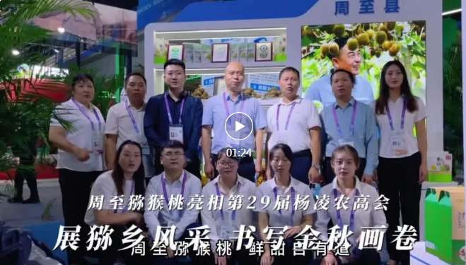 QQ截图20220916181230.png