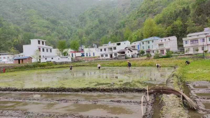 微信图片_20230414154556.jpg