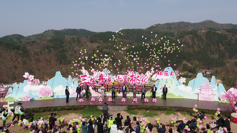 桃花节开幕式.png