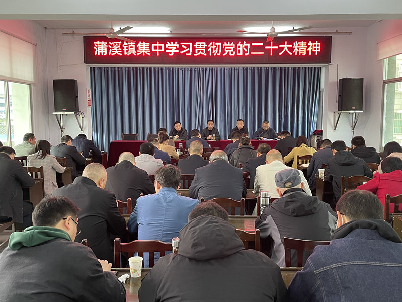 蒲溪镇集中学习党的二十大精神.jpg