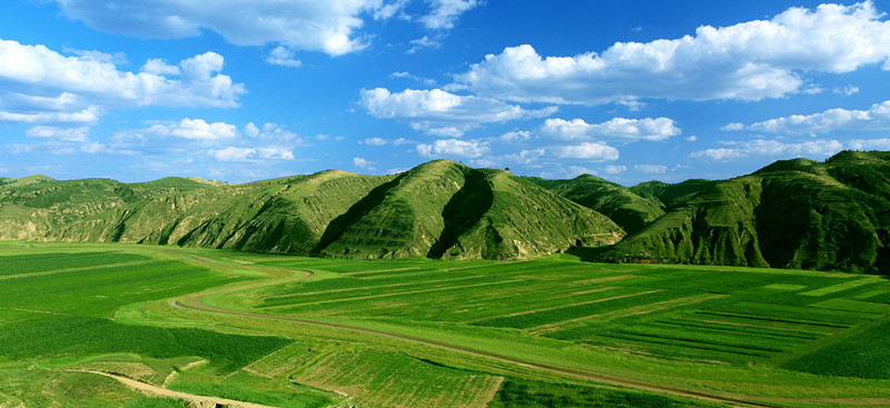 志丹县金丁镇胡兴庄村小杂粮种植基地.jpg