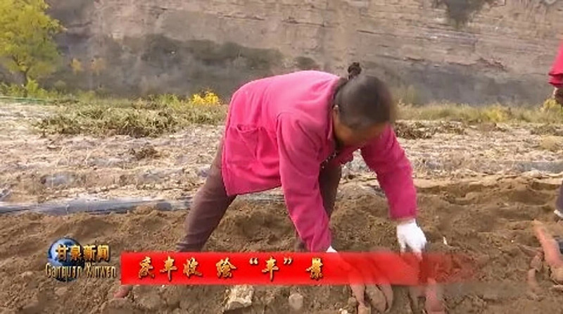 微信图片_20231030173530_副本.jpg