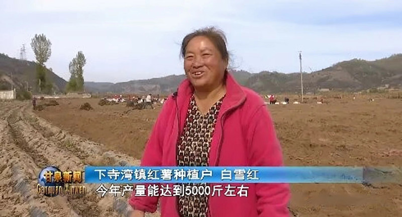微信图片_20231030173535_副本.jpg
