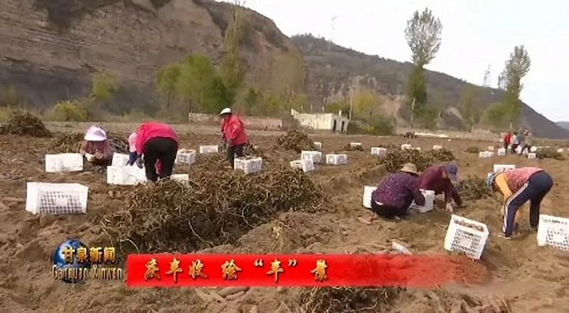 微信图片_20231030173543_副本.jpg