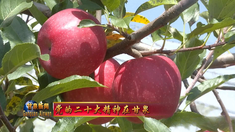 图片121.png