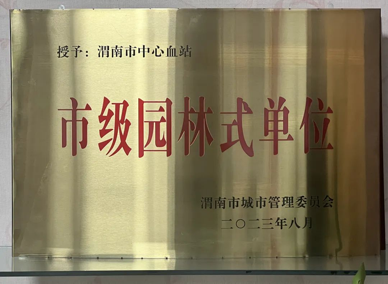 图片11.png